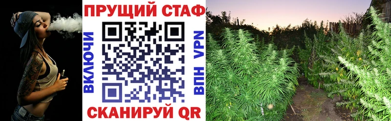 Виды наркоты Красный Холм Марихуана  Alpha-PVP  кракен зеркало  Амфетамин  Меф мяу мяу  ГАШИШ  Кокаин 