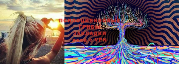 герыч Белокуриха