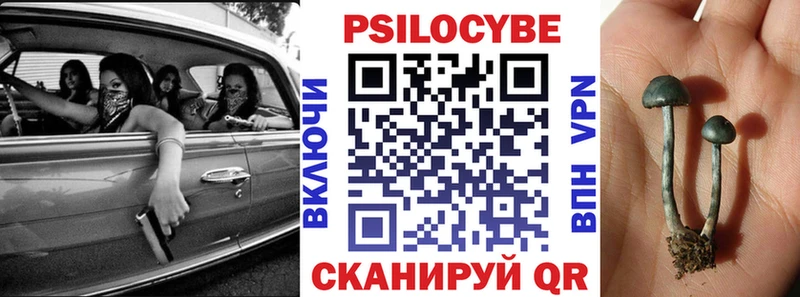 Галлюциногенные грибы Cubensis  Красный Холм 